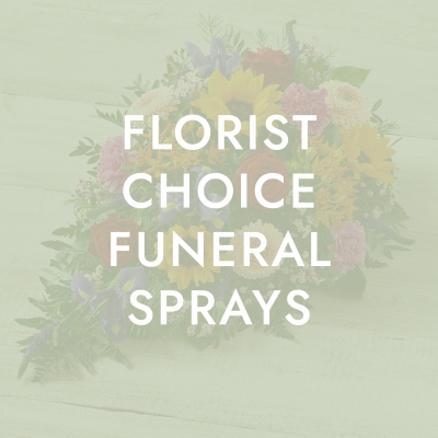 Florist Choice Spray