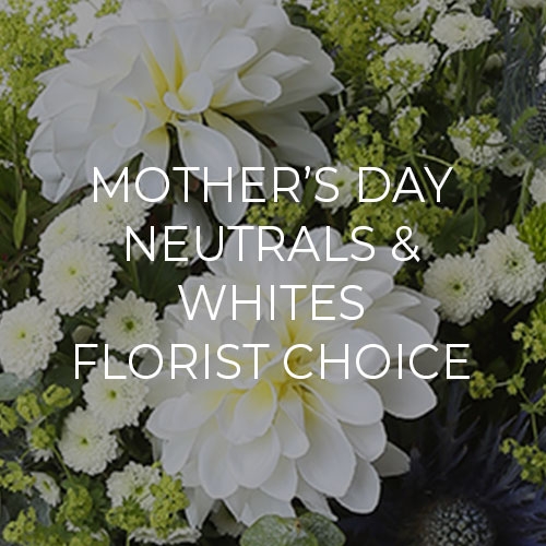 Neutrals and Whites Mothers Day Florist Choice