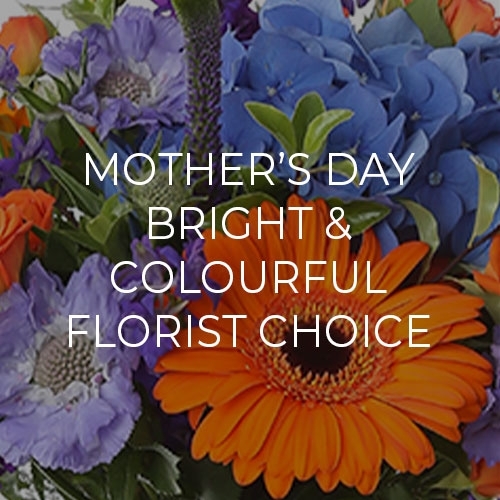 Bright and Colourful Mothers Day Florist Choice